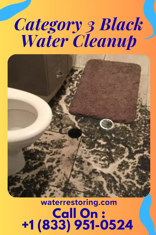 Category 3 Black Water Cleanup in Thornton, WI