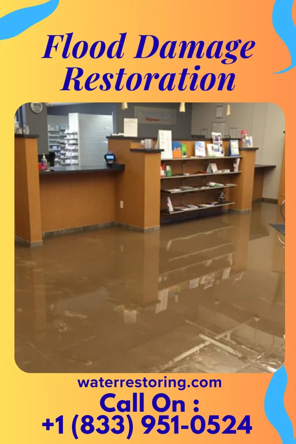 Flood Damage Restoration in Thornton, WI