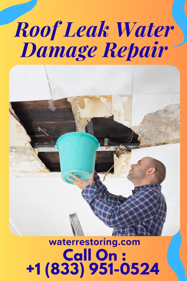 Roof Leak Water Damage Repair in Thornton, WI