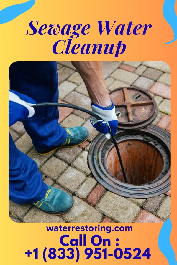 Sewage Water Cleanup in Thornton, WI